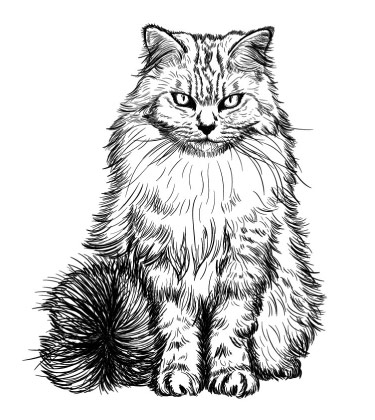 Ritratto di caricatura in bianco e nero del gatto