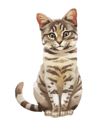 Disegno completo del corpo di un adorabile gatto grigio