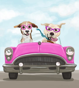 Due cani in caricatura di auto cabriolet