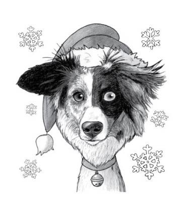 Ritratto in bianco e nero di grande cane capo