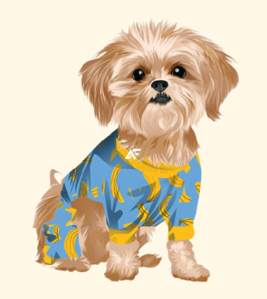 Simpatico cane cartoonizzato