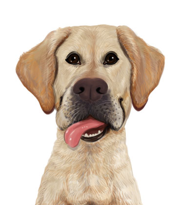 Simpatico ritratto di cane con la lingua fuori