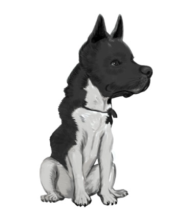 Disegno completo del corpo di un cane
