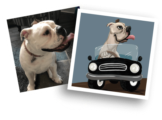 Caricatura di animali domestici prima/dopo